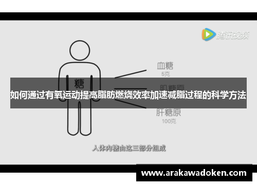 如何通过有氧运动提高脂肪燃烧效率加速减脂过程的科学方法